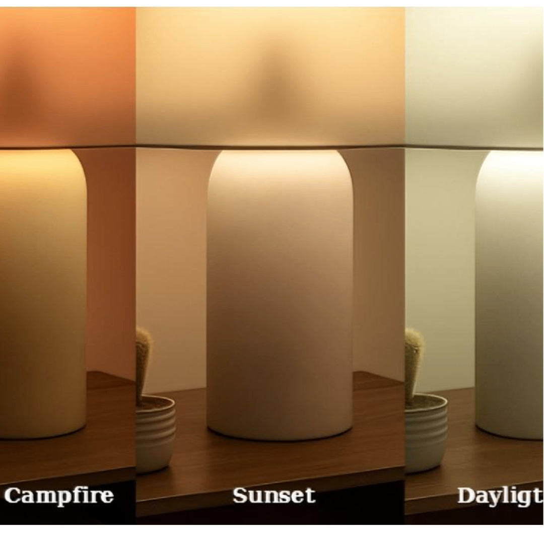 Circadian Lightbulb™