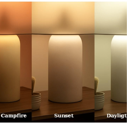 Circadian Lightbulb™